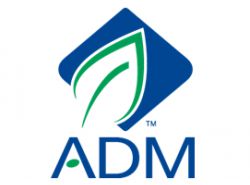 Logo ADM